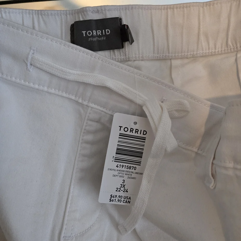 46. Torrid Shorts - Picture 6 of 6